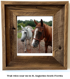 trail rides near me in St. Augustine South, Florida